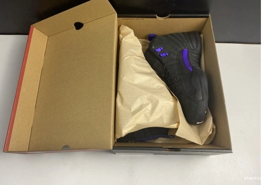 CT8013-005 12 Dark CT8013-005 Concord Air Black Jordan Retro 1031